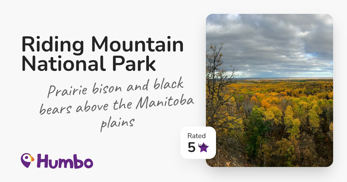 Riding Mountain National Park - Prairie bison and black bears above the ...