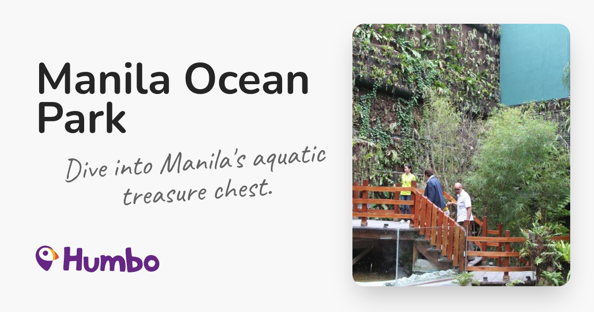 Manila Ocean Park - Dive into Manila's aquatic treasure chest.