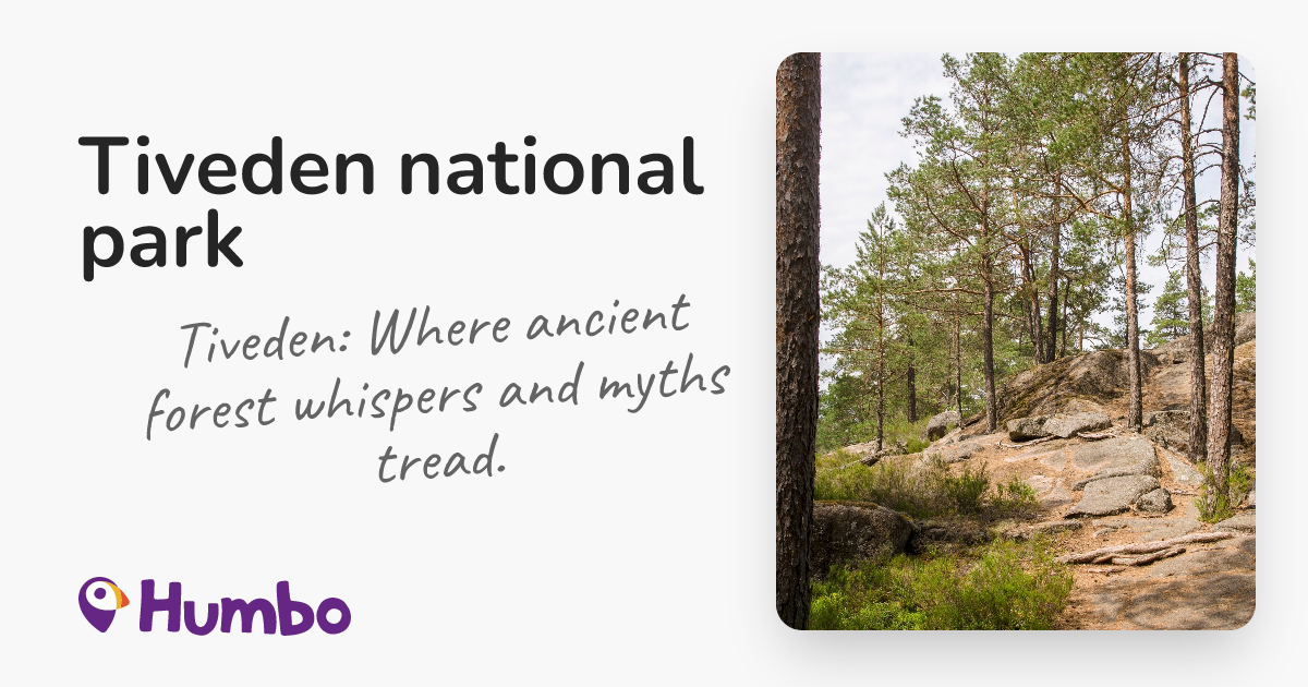 Tiveden national park - Tiveden: Where ancient forest whispers and ...