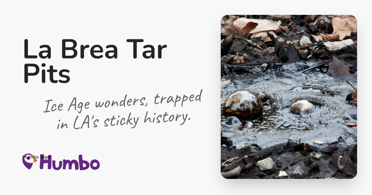 La Brea Tar Pits - Ice Age wonders, trapped in LA's sticky history.